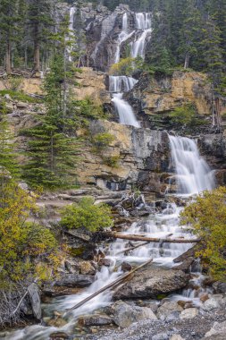 Jasper Ulusal Park.Alberta.Canada dolaştırmak Creek şelaleler