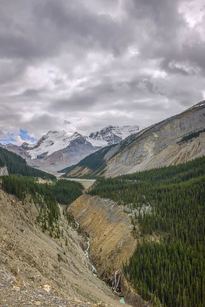 Vyn Dalen Sanvapta Och Mount Athabasca Från Athabasca Glaciären Skywalk — Stockfoto