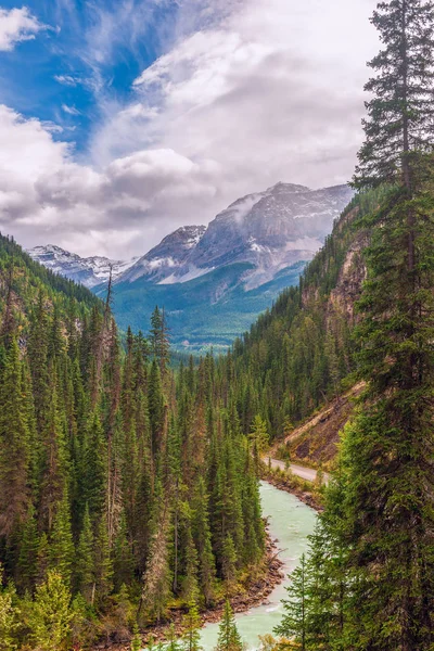 Yoho 국립 Park.British Columbia.Canada에서 에메랄드 Yoho 강 — 스톡 사진