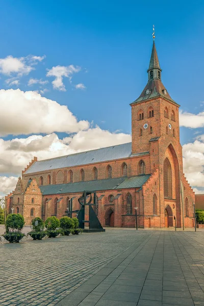 Catedral de San Canuto. Odense. Dinamarca — Foto de Stock