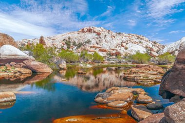 Pond at Barker or Big Horn Dam in Joshua Tree National Park.Cali clipart