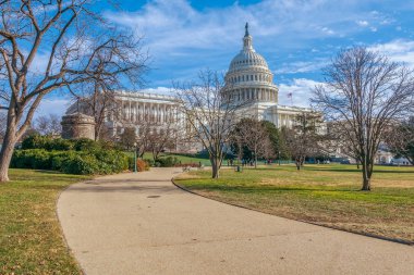 Amerika Birleşik Devletleri Capitol.Washington Dc.Usa