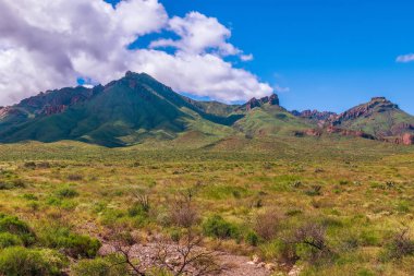 Eylül ayında Big Bend Ulusal Parkı.South Texas.Usa