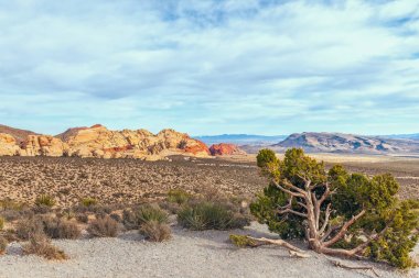 High Point Overlook.Red Rock Canyon Ulusal Konservatat'tan Manzara