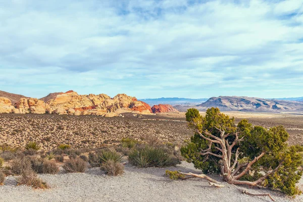 Vista desde High Point Overlook.Red Rock Canyon National Conservat — Foto de Stock