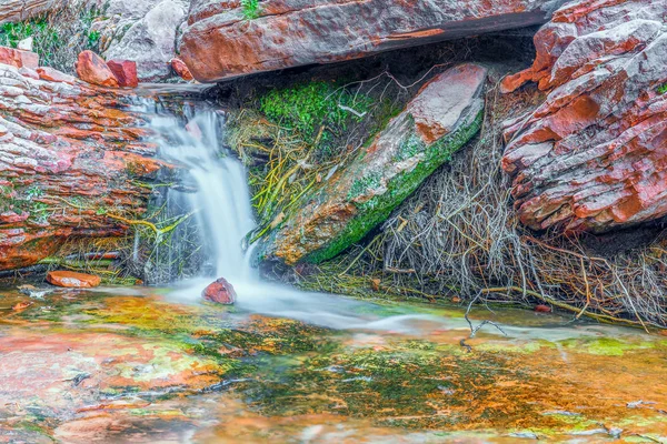 El sendero De las Piscinas Esmeraldas. Waterfall.Zion National Park.Utah.Usa — Foto de Stock
