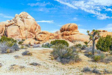 Skull Rock Area.Joshua Tree National'da kumtaşı oluşumları