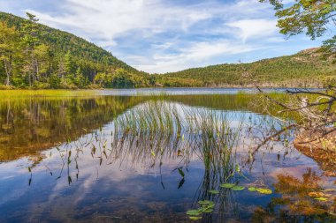 Acadia Ulusal Parkı Üst Hadlock Gölet görünümü.Maine.Usa