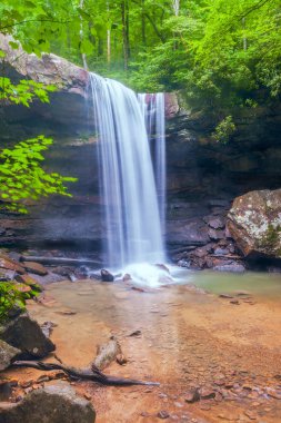 Ohiopyle State Park.Pennsylvania.Usa'da Salatalık Şelalesi