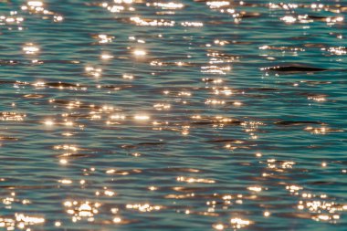 Su arkaplanındaki parıltı...
