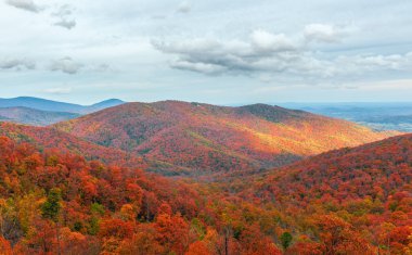 Colorful autumn view of Blue Ridge mountain ridges from Skyline  clipart