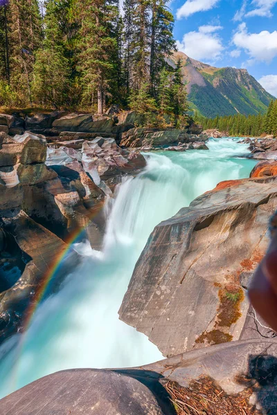 Numa cae en el río Vermillion en el Parque Nacional Kootenay — Foto de Stock