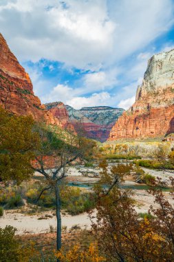 Sonbaharda Emerald Havuz Yolu 'ndan Zion Kanyonu manzarası. Zion Ulusal Parkı. Utah. ABD