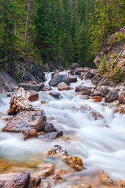 Sonbaharda Sherbrooke Creek 'te. Yoho Ulusal Parkı. Alberta. Kanada