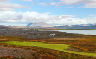 Myvatn Gölü yakınlarındaki kırsal alan. Masaüstü Dağı arka planda. İzlanda