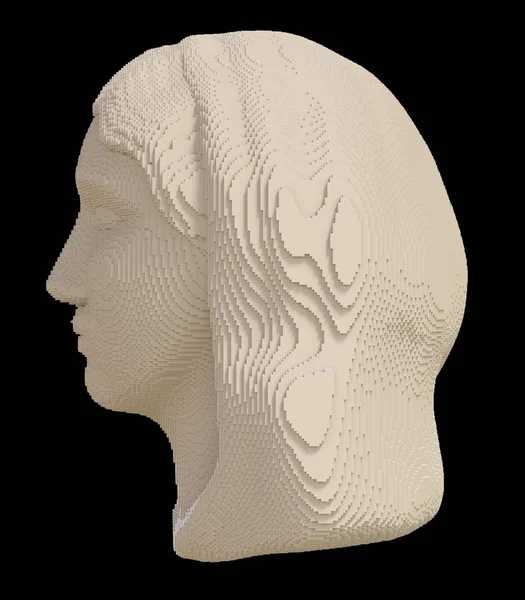 Voxel head of young woman on a black background. Ancient Greek statue of Aspasia or Aphrodite.