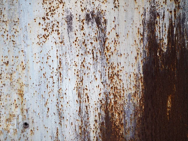 Corroded white metal background. Rusted white painted metal surface.