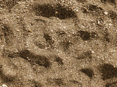 çiğnenmiş ıslak kum, yakın çekim, arka plan olarak