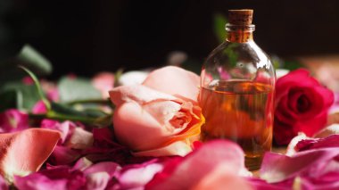 Aroma Yağı cam şişe masanın üzerinde doğal hammaddeler, gül yaprakları arasında odak seçili. Yerli magic.
