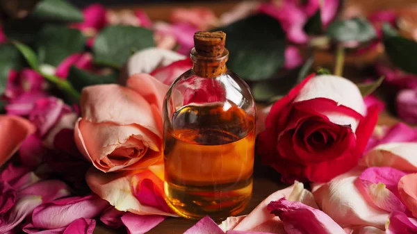 Aroma oil glass bottle among roses and petals on the table, natural raw material, selected focus
