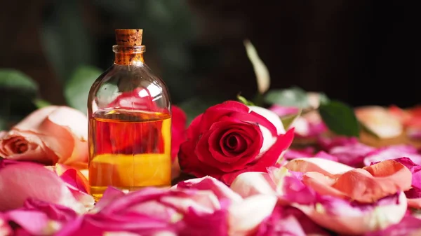 Ароматное масло стеклянная бутылка среди лепестков роз на столе, натуральное сырье, выбранный фокус — стоковое фото