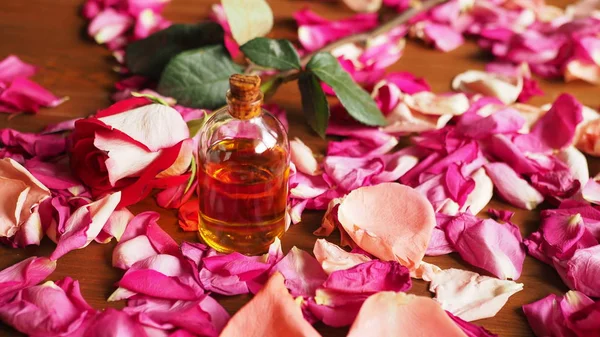 Botella de vidrio de aceite de aroma entre pétalos de rosas sobre la mesa, materia prima natural, enfoque seleccionado — Foto de Stock