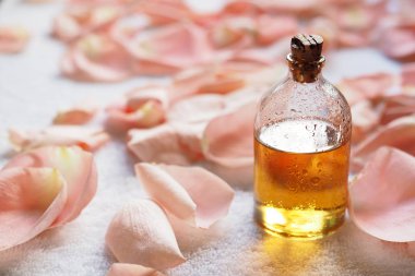 Aromaterapi uçucu yağ cam şişe beyaz terry havlu üzerinde soluk gül yaprakları arasında. Spa ve bakım kavramı, seçilen odak