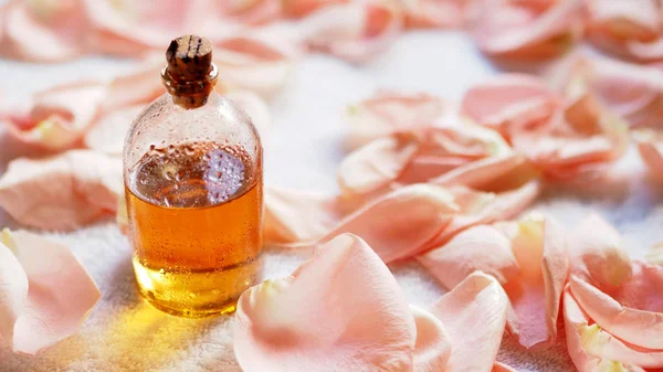 Glass bottle of aroma oil among pale rose petals on white terry towel. SPA and caring concept, selected focus.