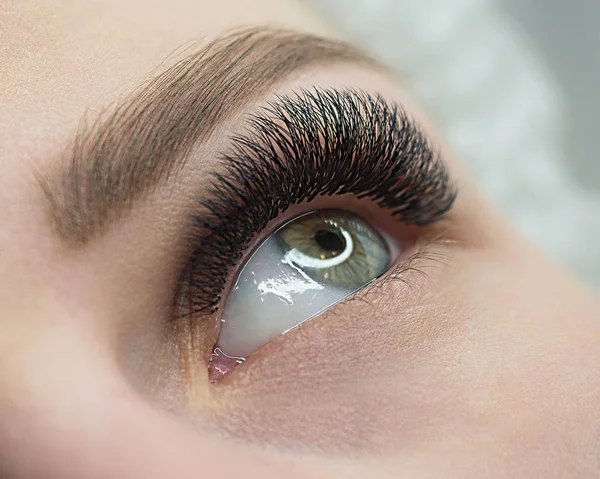 Schöne Makroaufnahme des weiblichen offenen Auges mit Wimpernverlängerung. natürliches Aussehen und buschige lange Wimpern, Nahaufnahme, selektiver Fokus. — Stockfoto