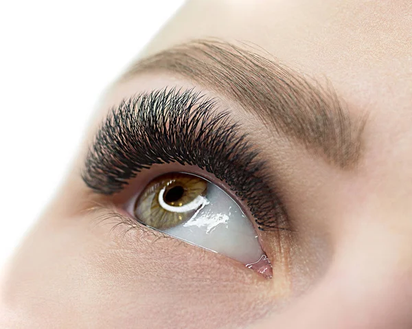 Female open eye with eyelash extension. Natural and well groomed skin. Close up, selective focus.