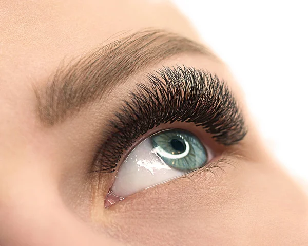 Beautiful female open blue eye with eyelash extension. Natural and well groomed skin. Close up, selective focus, isolated on white