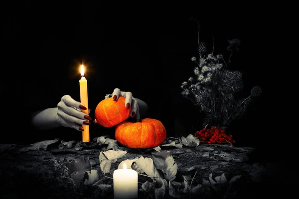 Black magic ritual. Witches hands with sharp long nails hold a candle and little pumpkins among dry herb, nuts, dead leaves, acorns, ashberry background, selected focus, low key — Stock Photo, Image