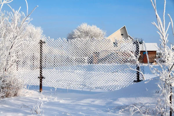 Metalen Hek Uit Vierkante Cellen Bedekt Door Witte Pluizige Rijm — Stockfoto