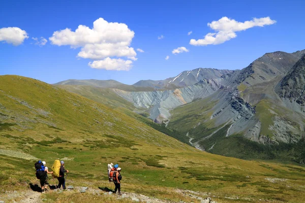 Team Aus Drei Touristinnen Geht Mit Rucksäcken Die Berge — Stockfoto