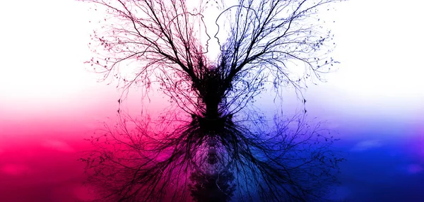 Branches Tree Form Silhouettes Enamoured Pair — Stock Photo, Image