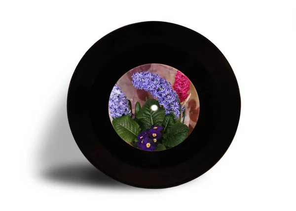 Schallplatte Mit Blütenhyazinthen Isoliert Auf Weißem Hintergrund — Stockfoto