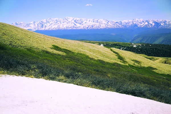 Freakish combination of a green spring grass and white snow — Stock Photo, Image