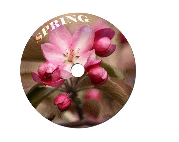 Disc muzical cu un măr înflorit pe o copertă — Fotografie, imagine de stoc