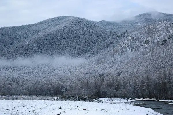 Montagne coperte da un bosco in gelo — Foto Stock