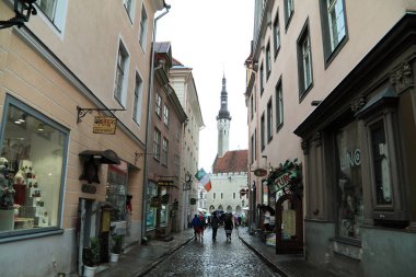 Yağmurlu gün turistler belediye binasına eski Tallinn boyunca yürümek 