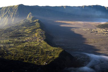Günün ilk ışıklarıyla bize bazı iyi şeyler bulduk her gün gibi hissediyorum yapmak