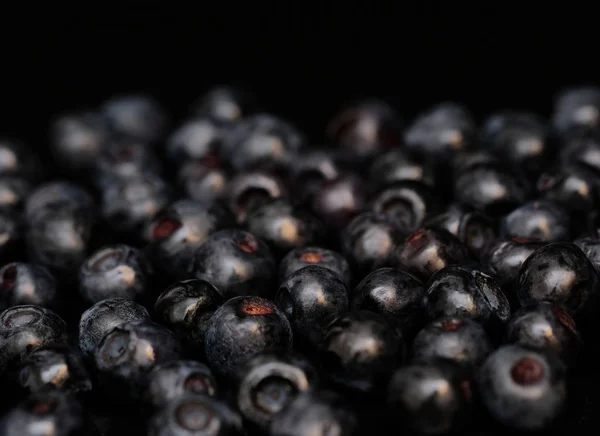 Blueberry Black Background Macro Shot — Stock Photo, Image