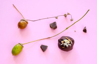 Bir çikolata ve meşe palamutları pembe bir arka plan üzerinde