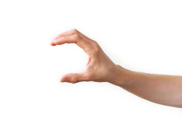 Weibliche Hand Zeigt Etwas Abstand Größe Weißer Hintergrund — Stockfoto
