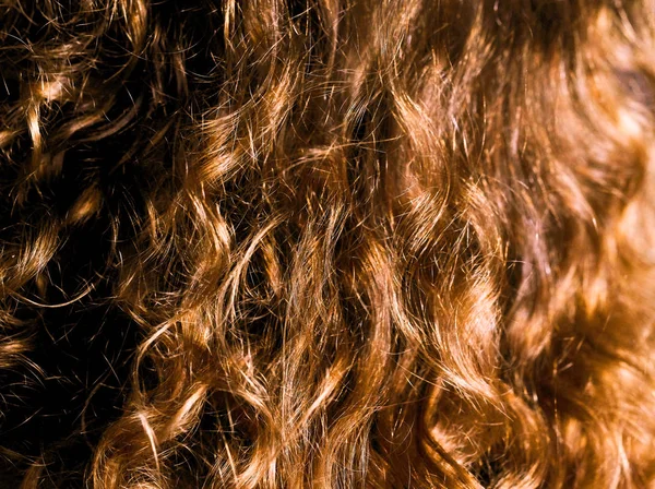 Natural Curly Red Hair Young Woman Black Background — Stock Photo, Image