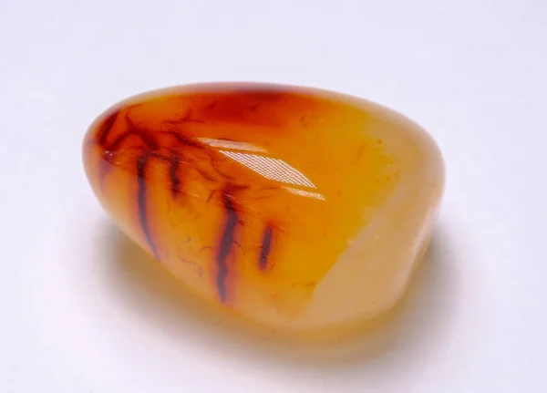 Beyaz arka plan üzerinde Carnelian taş