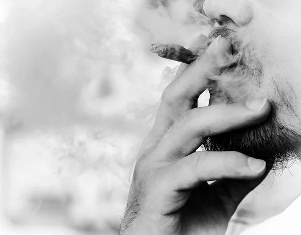 Man is smoking a cigar — Stock Photo, Image