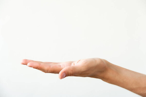 Female hand on a white background. Gesture of offer or request.