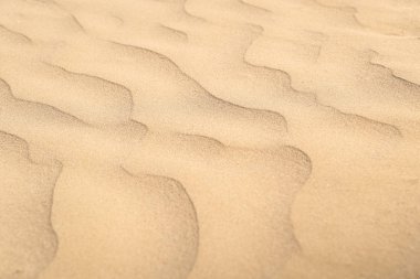 Güzel kum dalgaları