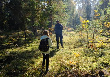 İnsanlar ormanda yürüyüş